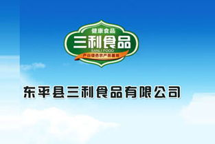東平湖牌特制紅薯粉條袋裝 加盟批發(fā)優(yōu)勢與廣告設(shè)計策略